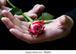 Amor 4